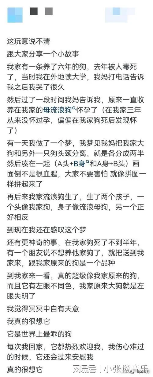 做梦发现老公出轨-发现丈夫出轨的梦