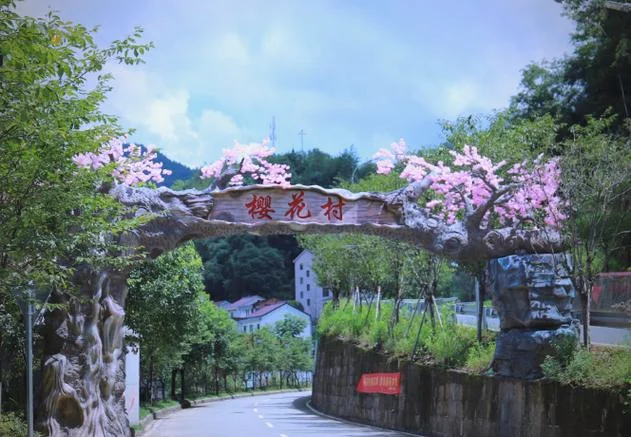 樱花村现在叫什么-樱花村现名
