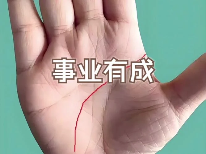 女人的手相事业图解-女手相事业图