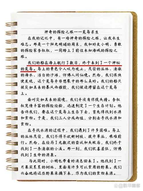 神秘岛读后感600字以内-神秘岛读后感
