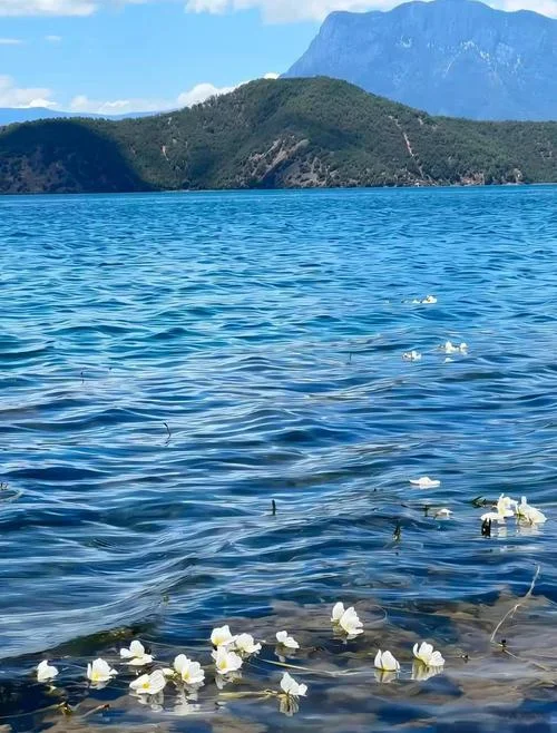 泸沽湖附近3天的旅游景点-泸沽湖周边三日游