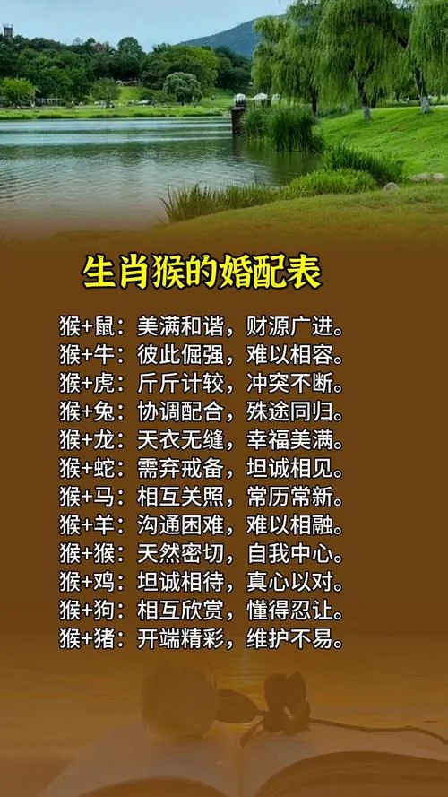 婚配最佳属相_2