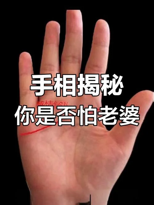 男朋友要看手相咋办_1