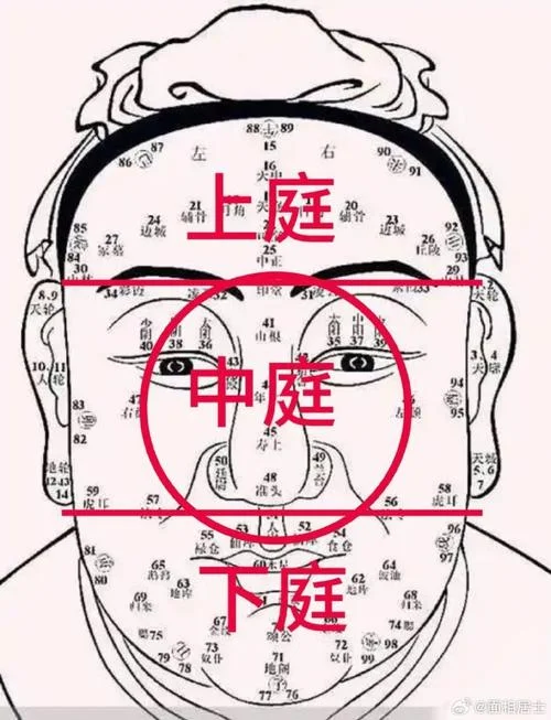 上庭短面相详解-上庭短面相