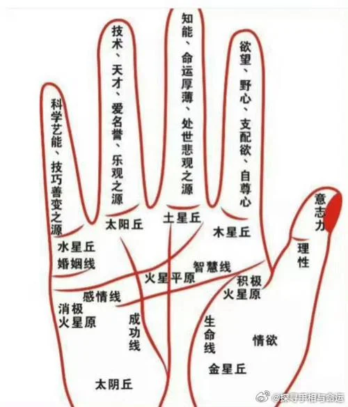 手相看姻缘何时结婚_1