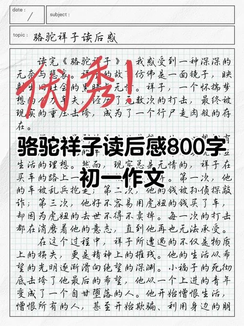 读后感骆驼祥子400字-骆驼祥子读后感