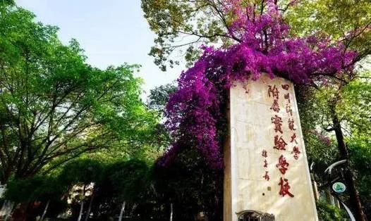 成都川师附小对口中学_2