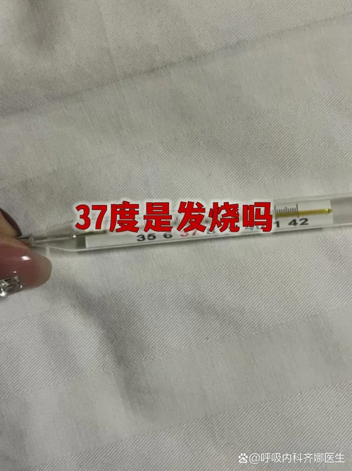 什么是低烧到多少度_1