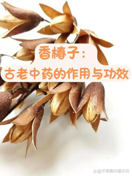 香饮子出处_1