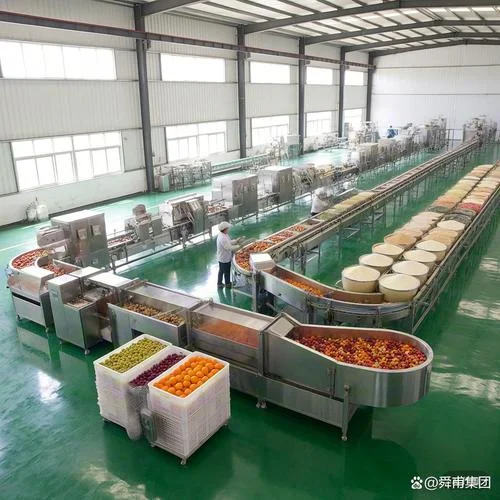 农村食品加工厂项目_2