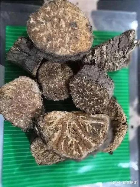 阿魏无真出自哪里_1