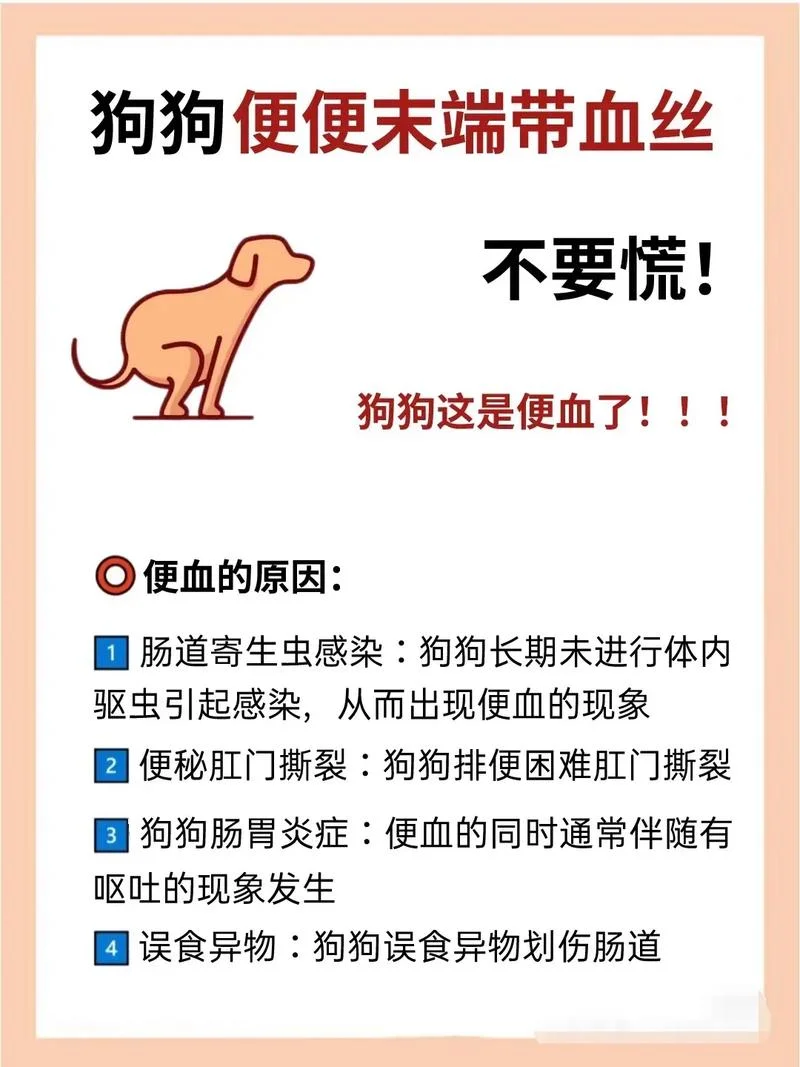 小奶狗拉稀怎么办_2