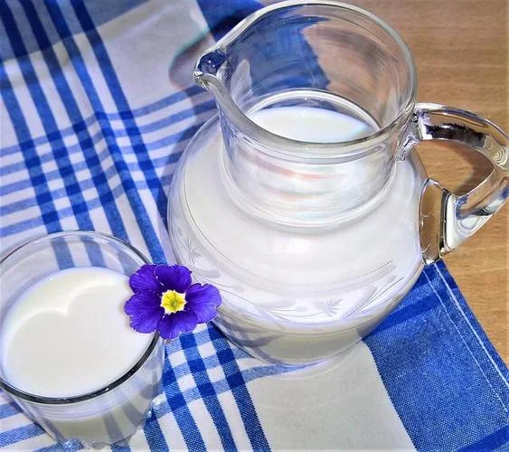 梦见牛奶般的水-梦饮乳白之水