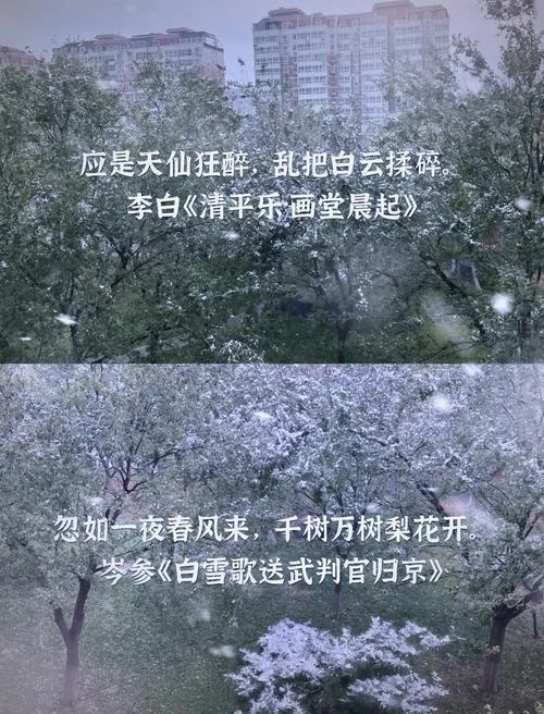 初见雪文案_1