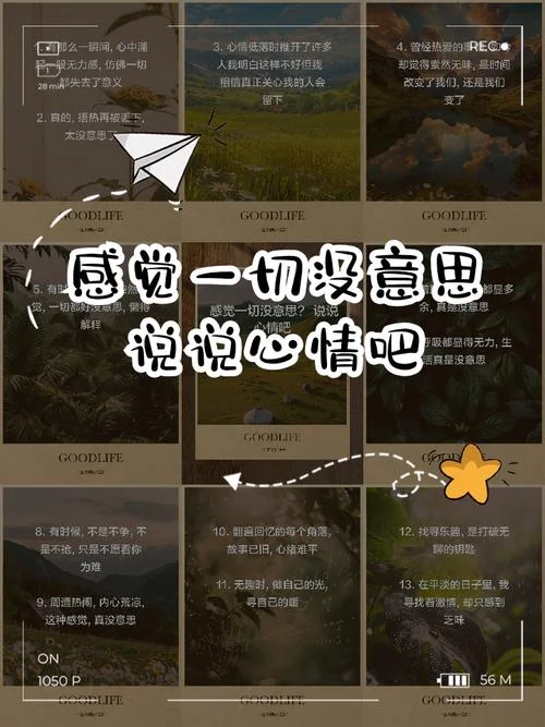没感觉是什么意思_2