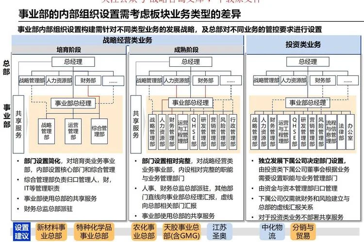 公司集团化要求_2