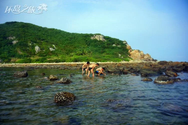 情越海岸线结局_2