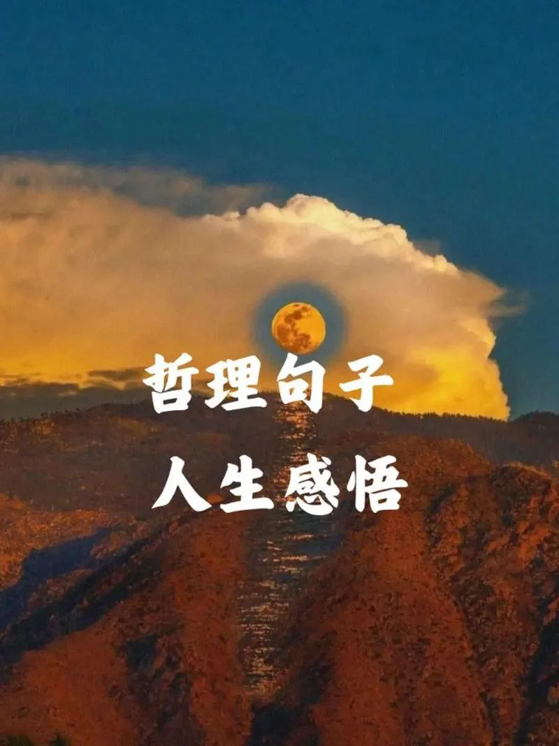人生的哲理感悟_1