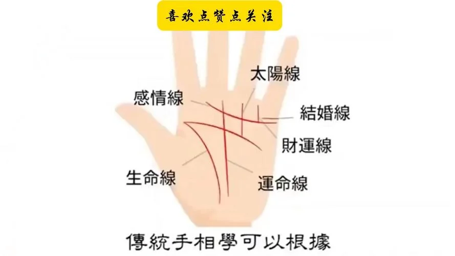 西方人看手相吗_2