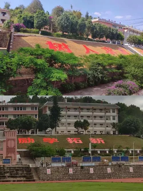 思茅中学片区划分_2