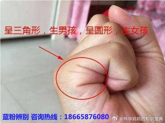 男朋友要看手相咋办-男友看手相求助
