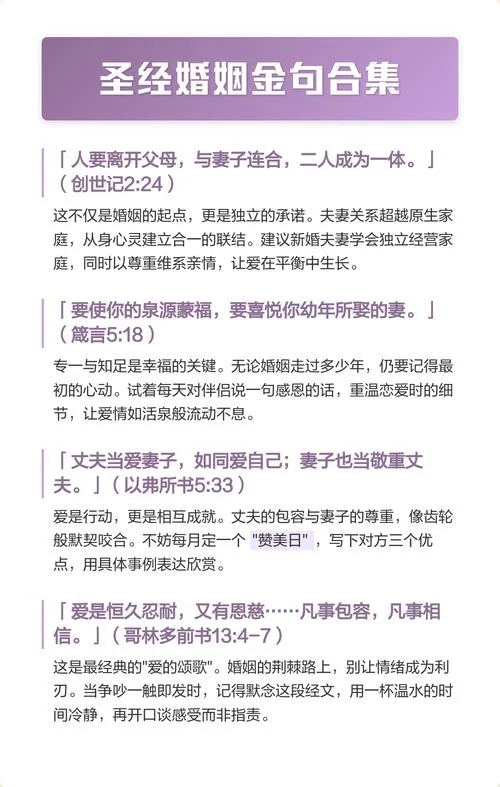 圣经金句出处_2