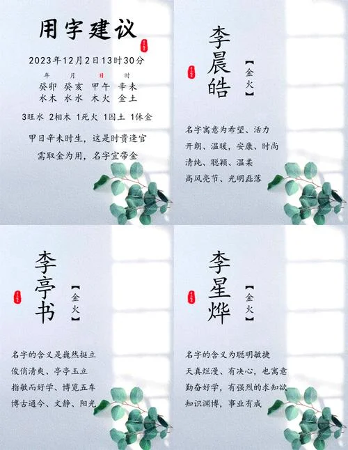 李男孩起名_2