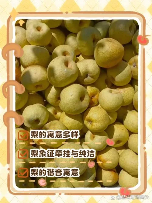 梦见梨有虫_2
