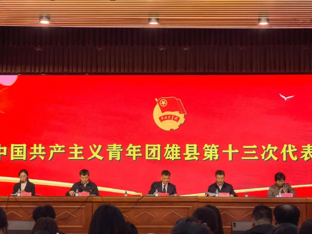 村委会团委是干什么的-村委会团委工作职责