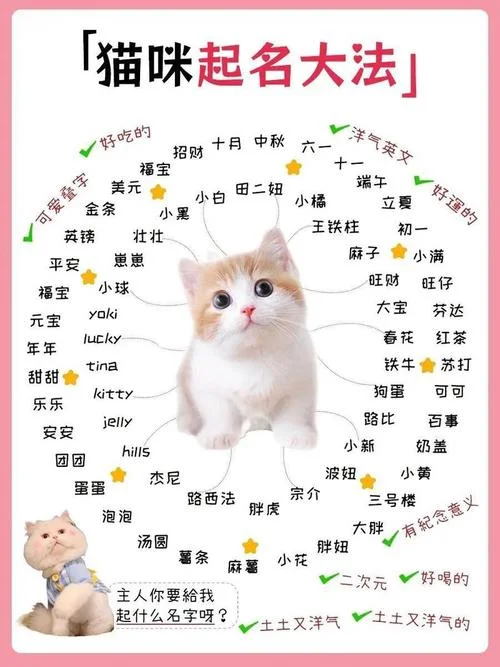 怎么给图片起名字_2