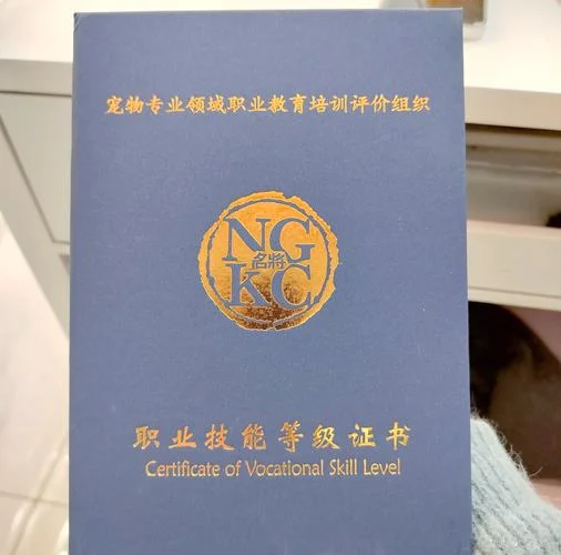 1+x证书怎么查-查询 1+x 证书有效