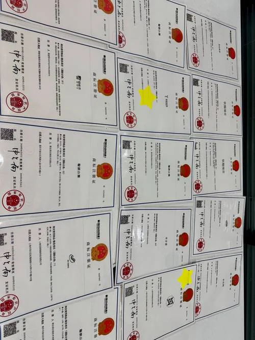 商标注册证书查询官网_1