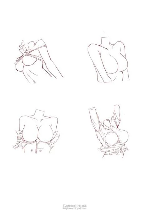 动漫人物女生胸怎么画_2