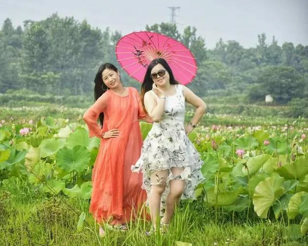 伊人再现是什么公司_2