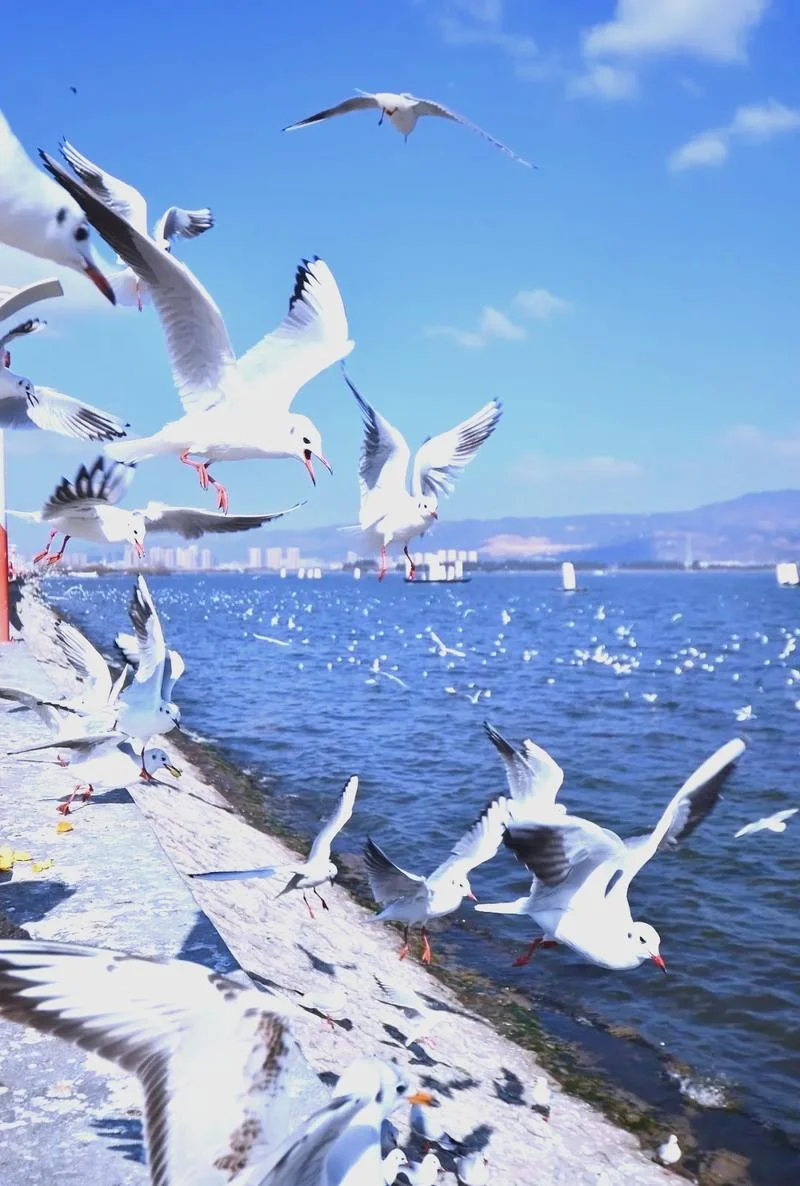 云南最近旅游景点-云南近期热门景点