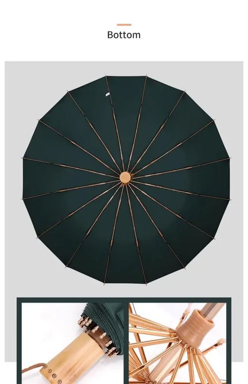 雨伞是什么意思_1