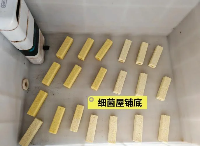 怎么做龟屋_2