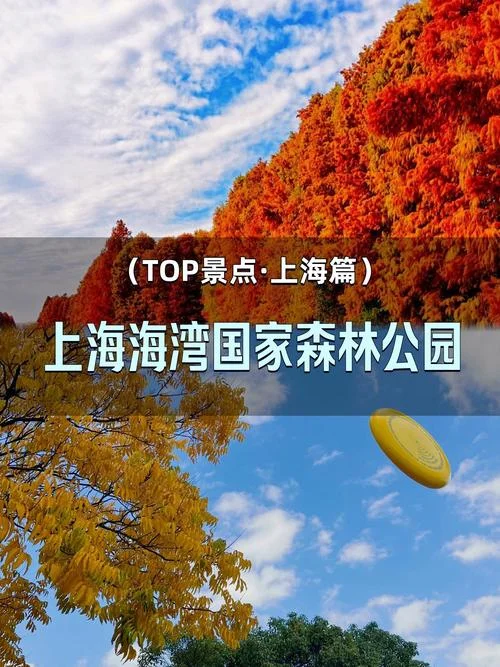 上海周边游最佳公园-上海周边最佳公园