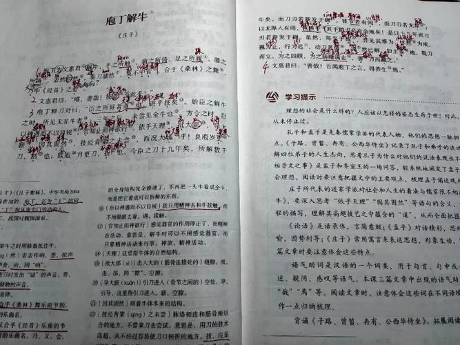 庖丁解牛的道理10字_1