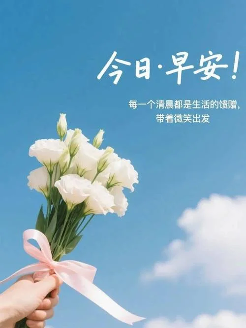 饱满的热情下一句话_1