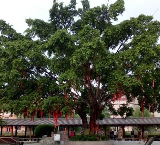 袁崇焕公园附近景点_1