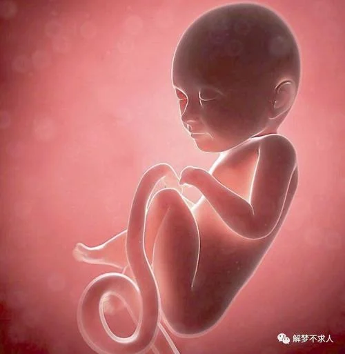 梦见别人怀孕特别大_1