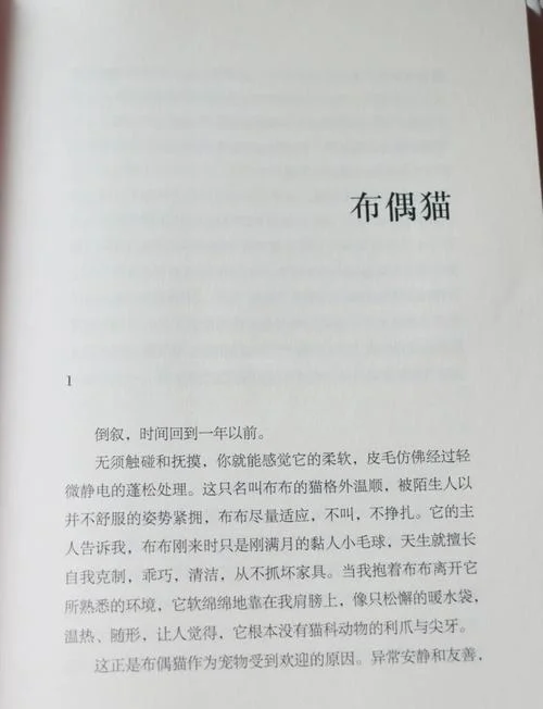 周晓枫作者简介_2