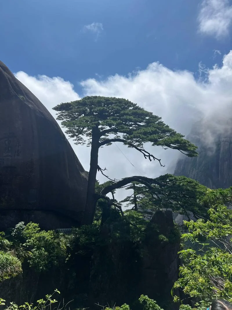 黄山旅游几月份最合适_1