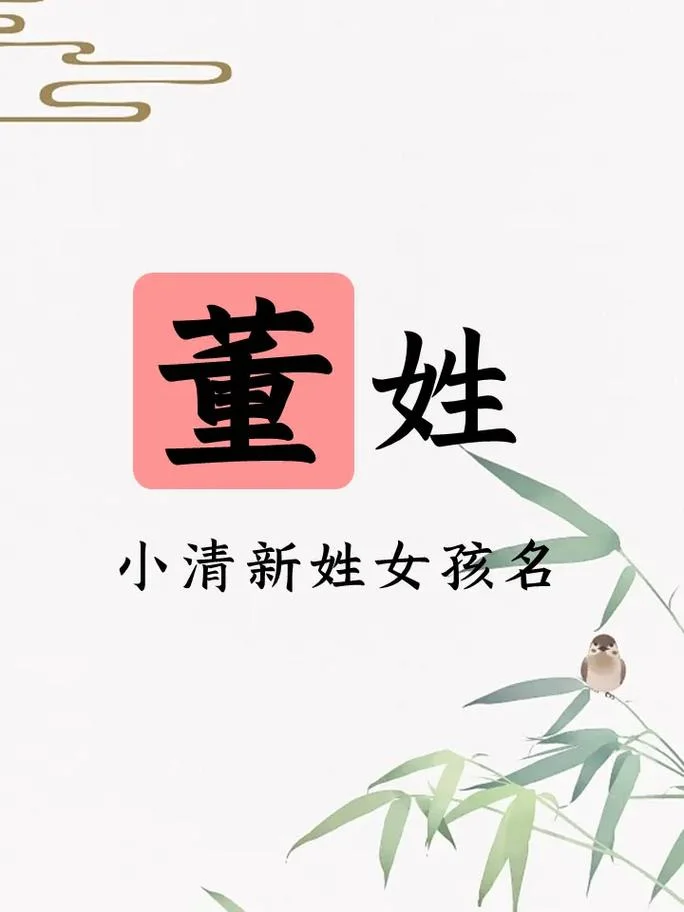 男孩姓董起名-董姓男孩起名