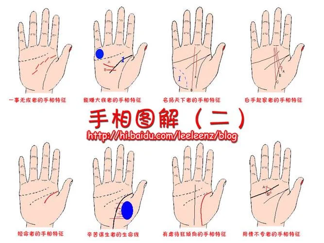 看女手相算命图解大全_1