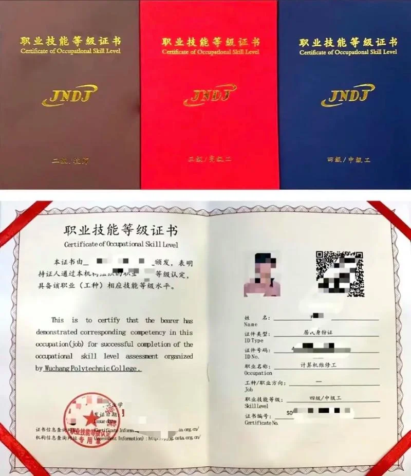 技能人才评价证书全国联网查询网_1