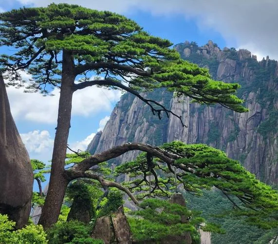 黄山黄山景点-黄山景点