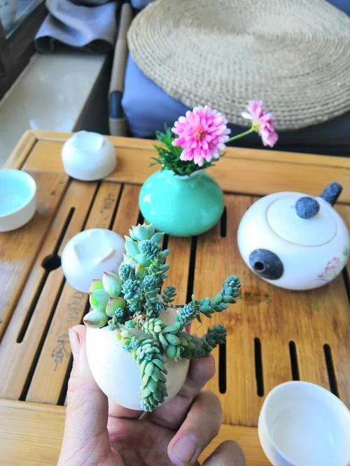 浮生如寄一盏茶出处_1