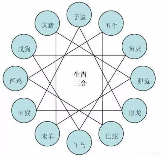 马和老虎属相合不合-马虎相合